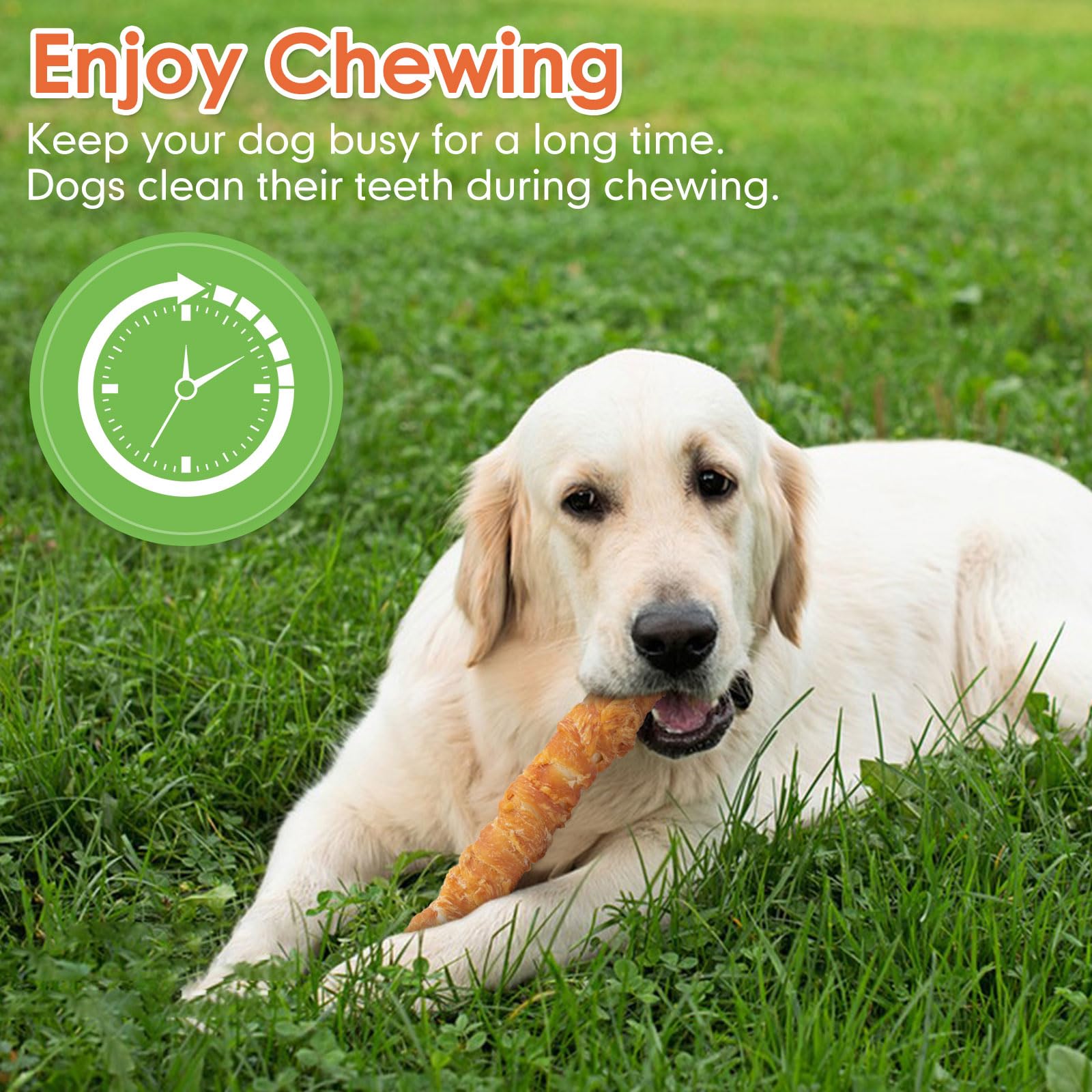 MON2SUN dog treats six-piece pack display — convenient and ready for regular rewards.