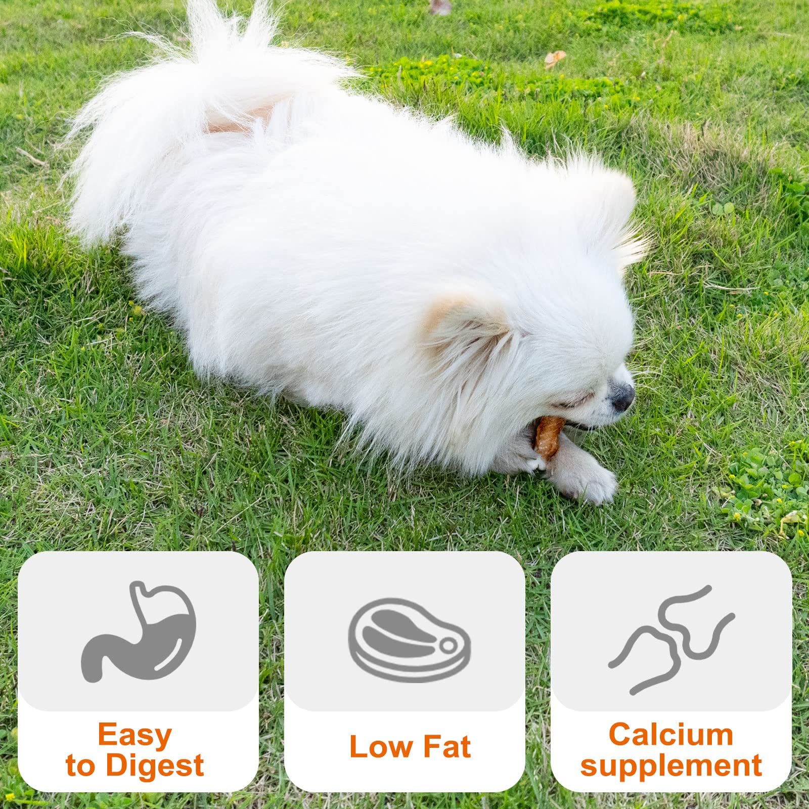 MON2SUN training snacks for puppies promoting focus during obedience