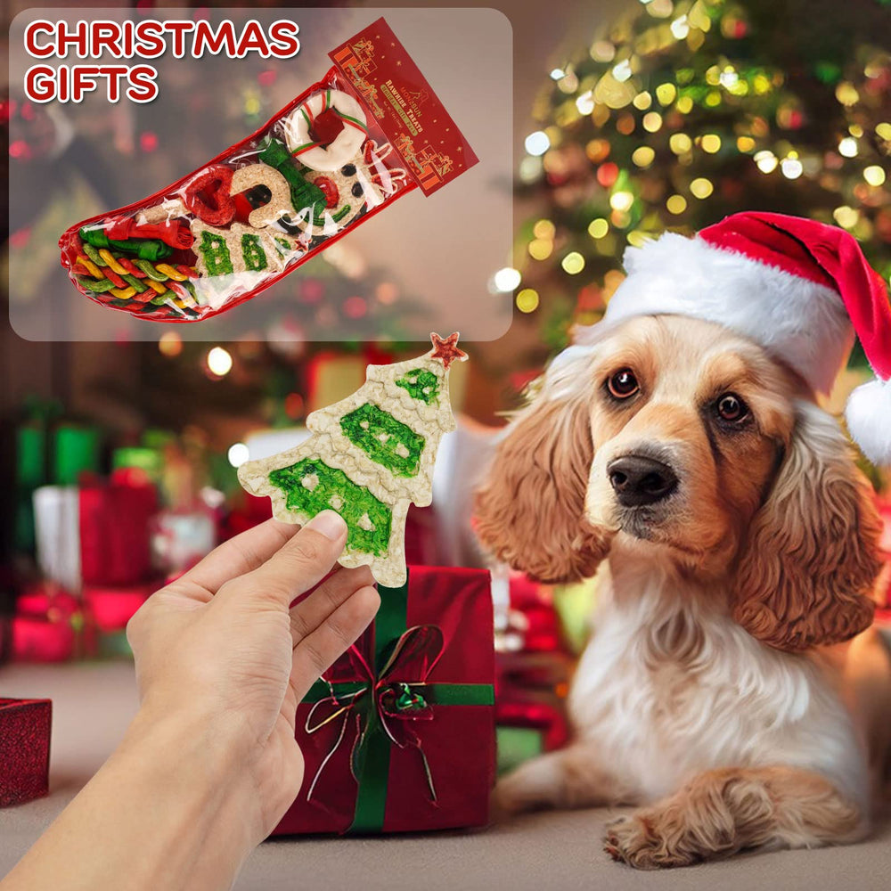MON2SUN doughnut roll chew adds playful shape for dogs