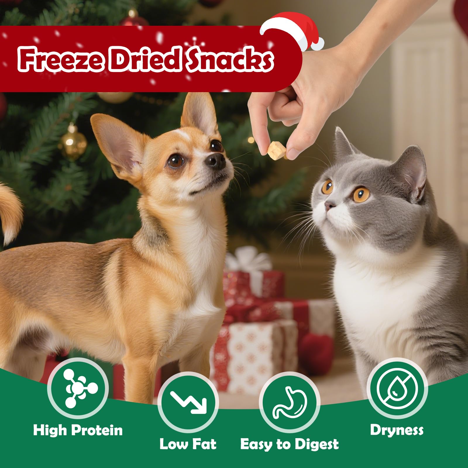 MON2SUN duck breast freeze-dried treat close-up, pure single-ingredient snack.