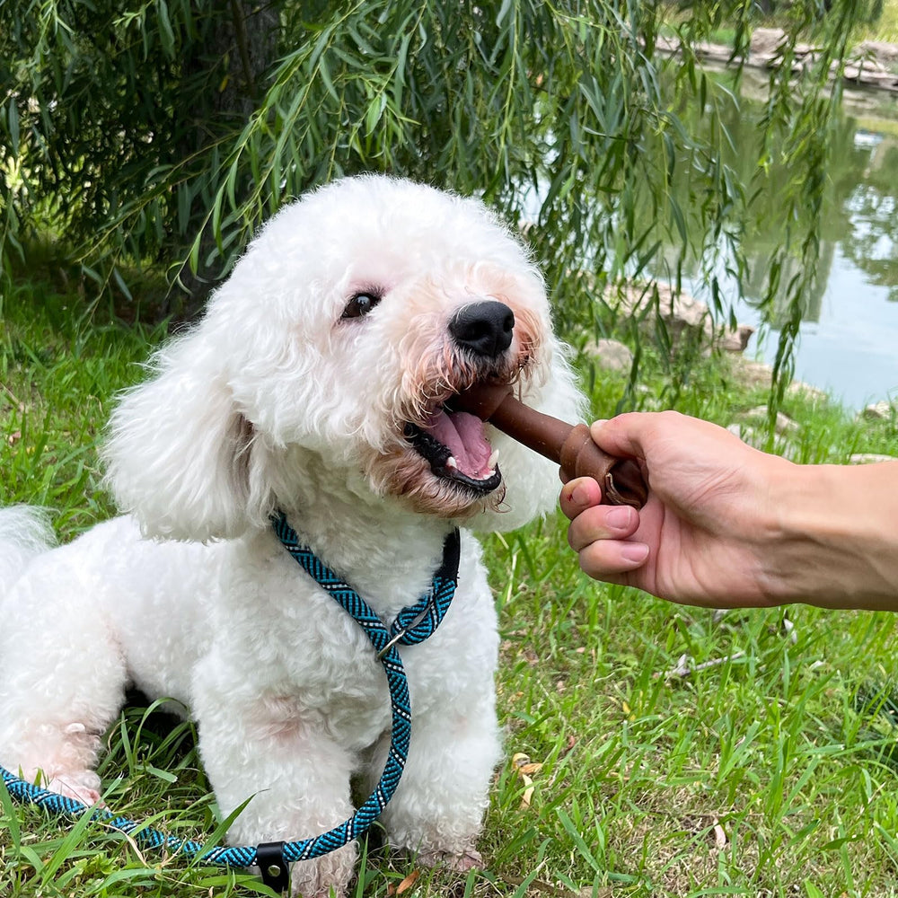 Knotted bone shape from MON2SUN with easy grip for chewing.