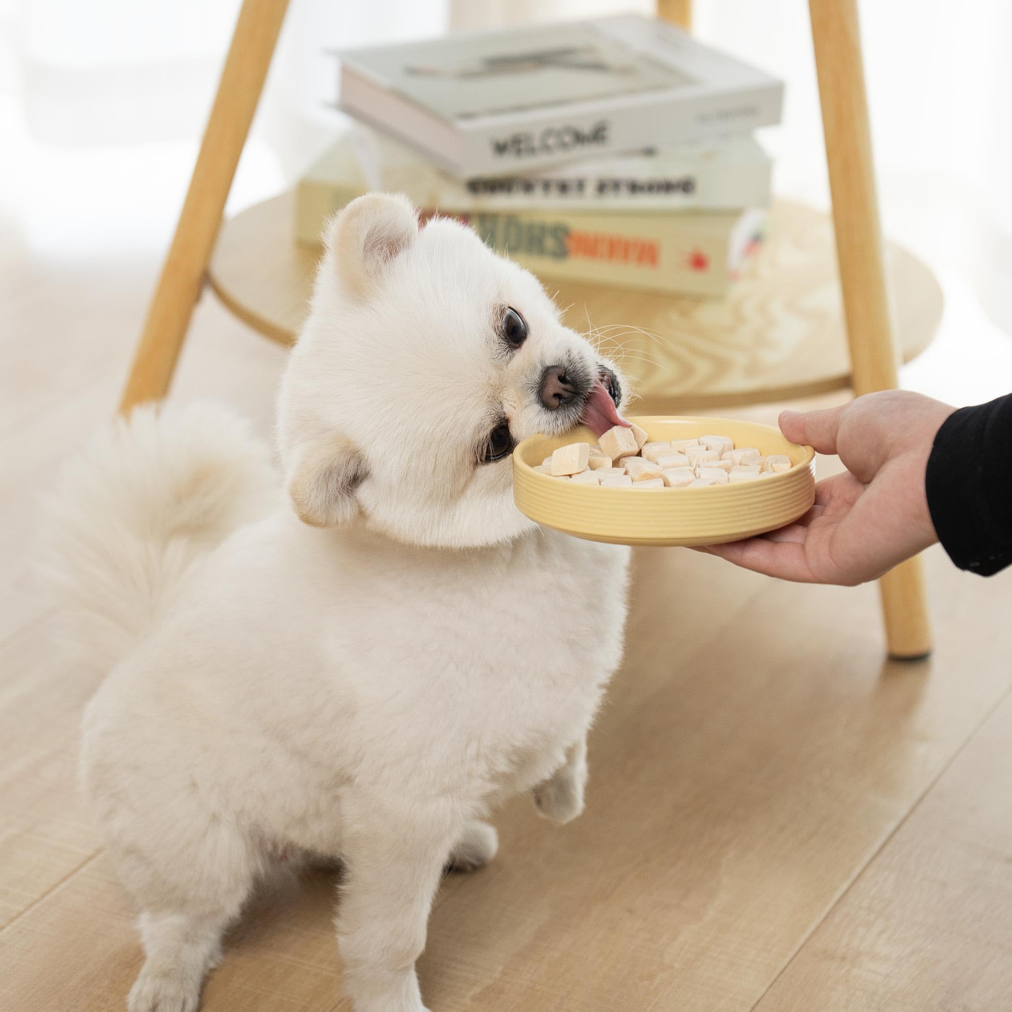MON2SUN treats fed to dogs and cats for versatile snacking.