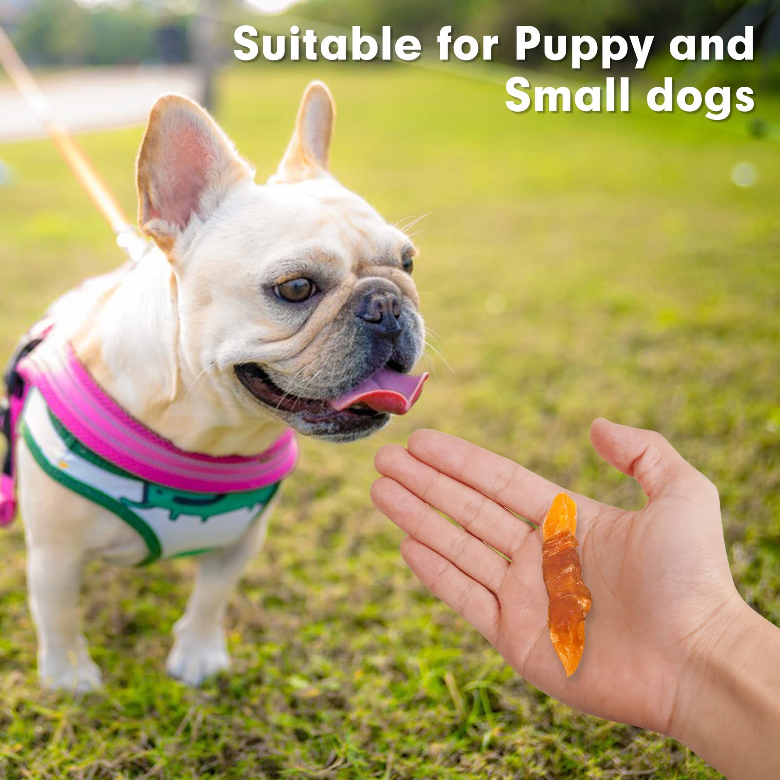 MON2SUN puppy-friendly treat in hand for small dog snack time