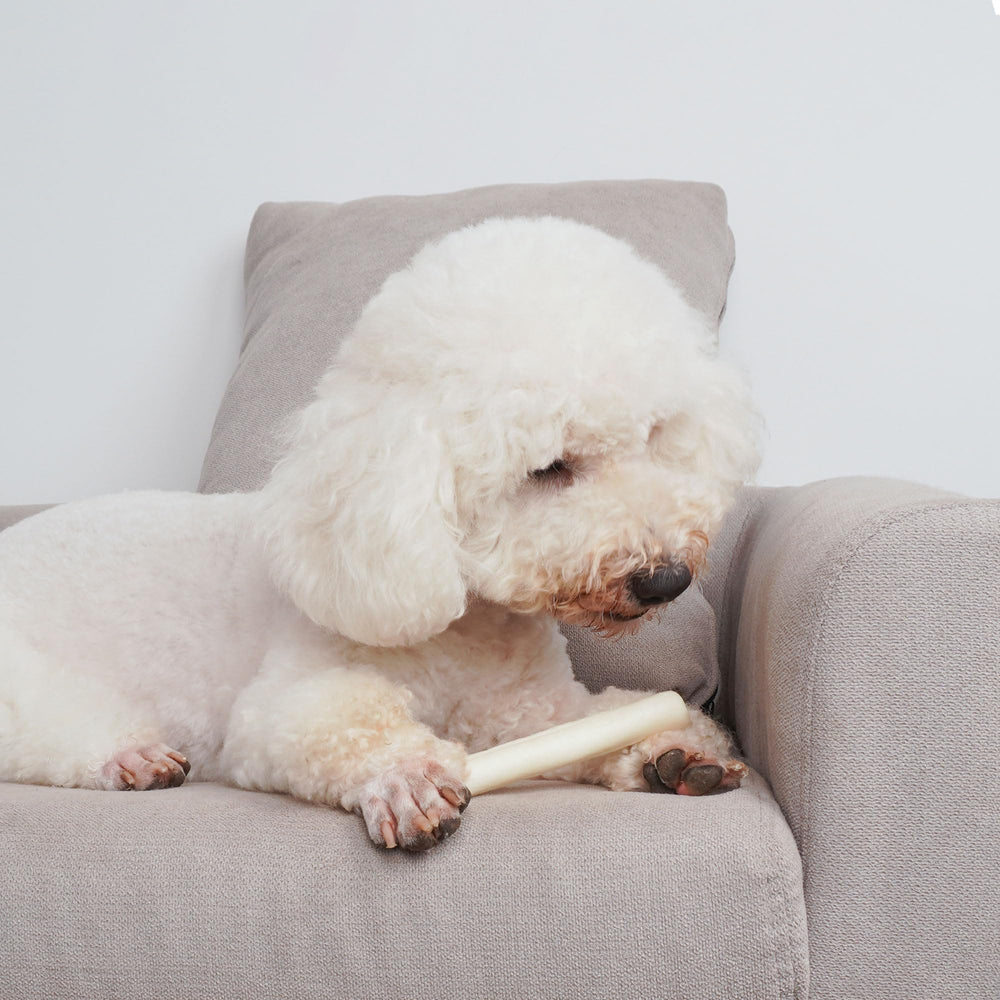 MON2SUN puppy treats in natural color signaling safe ingredients