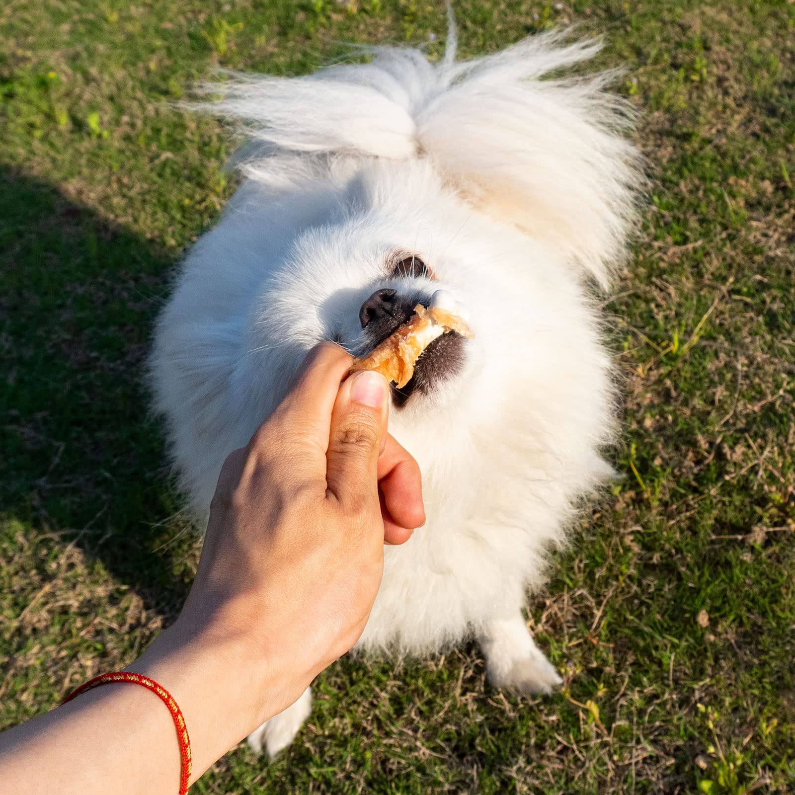 MON2SUN rawhide-free dog treats made with real chicken breast wrapped around calcium bone