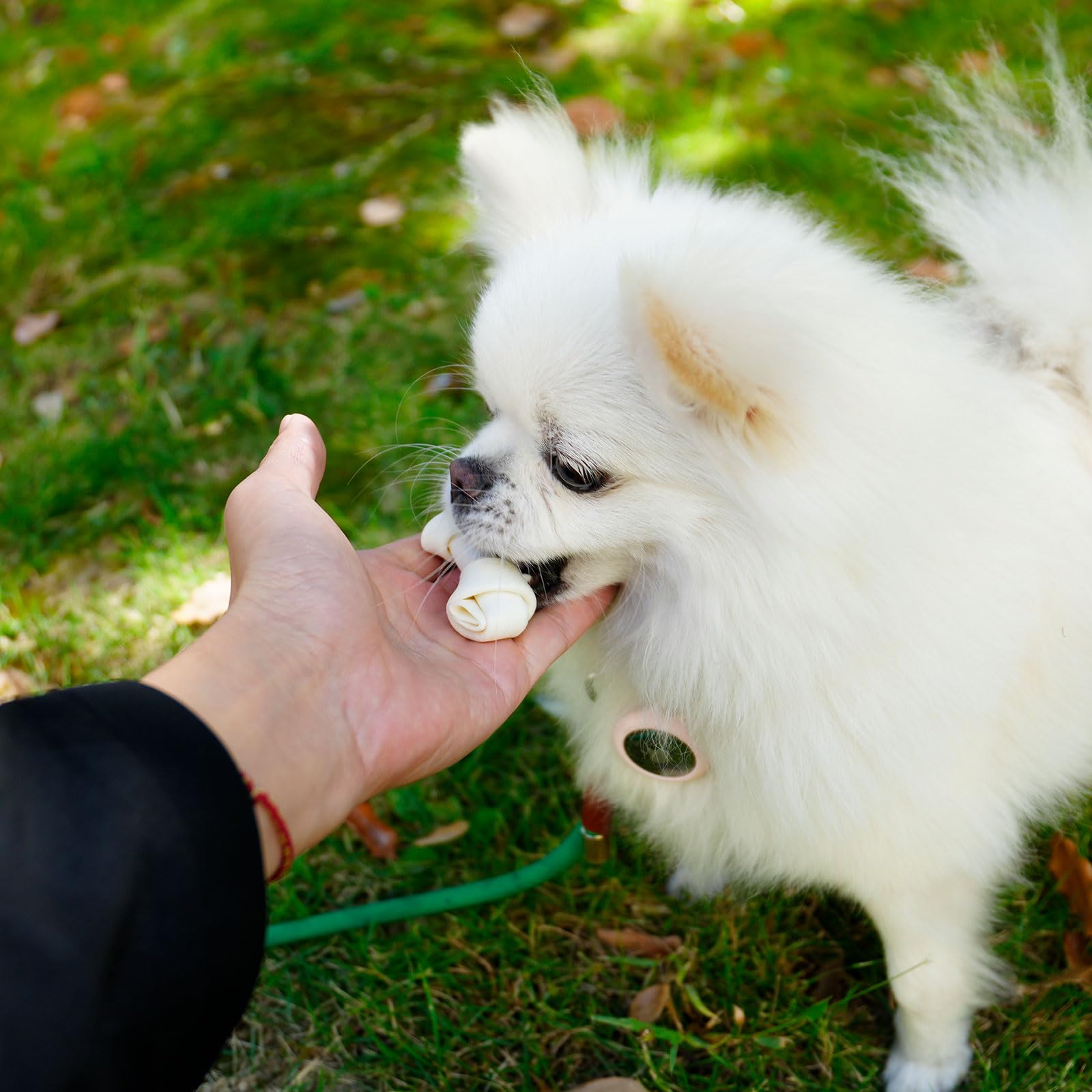 MON2SUN safe natural dog chews without artificial colors for steady chewing sessions.