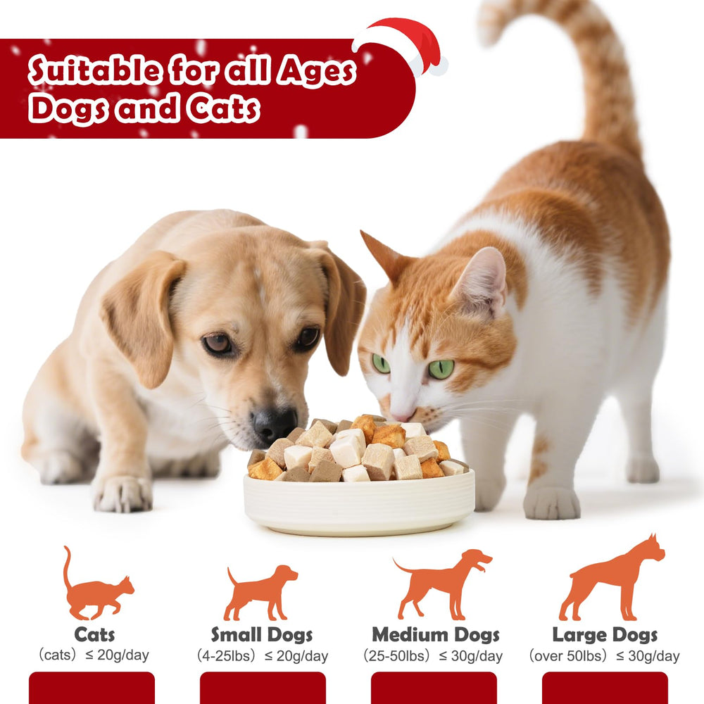 MON2SUN salmon freeze-dried treat close-up, premium protein source.