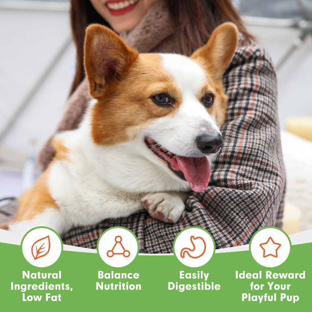 MON2SUN soft-treats close-up emphasizing gentle texture for delicate mouths