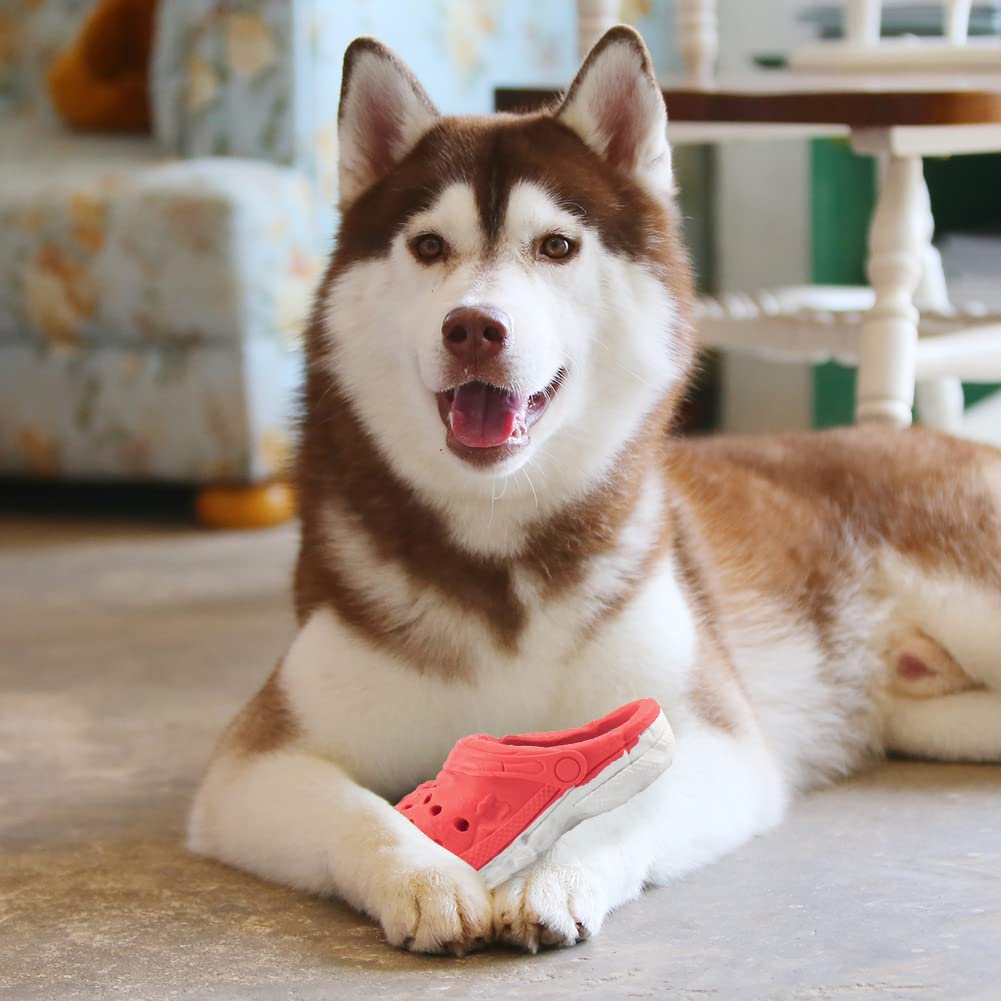 MONDOTOY Juguete Mordedor para Perro, fomenta hábitos de juego saludables y repetidos.