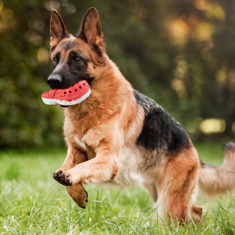 MONDOTOY Juguete Mordedor para Perro, libre de toxinas y seguro para perros.