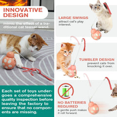 The Monotre cat-treat food-dispenser outlet enables slow feeding during play