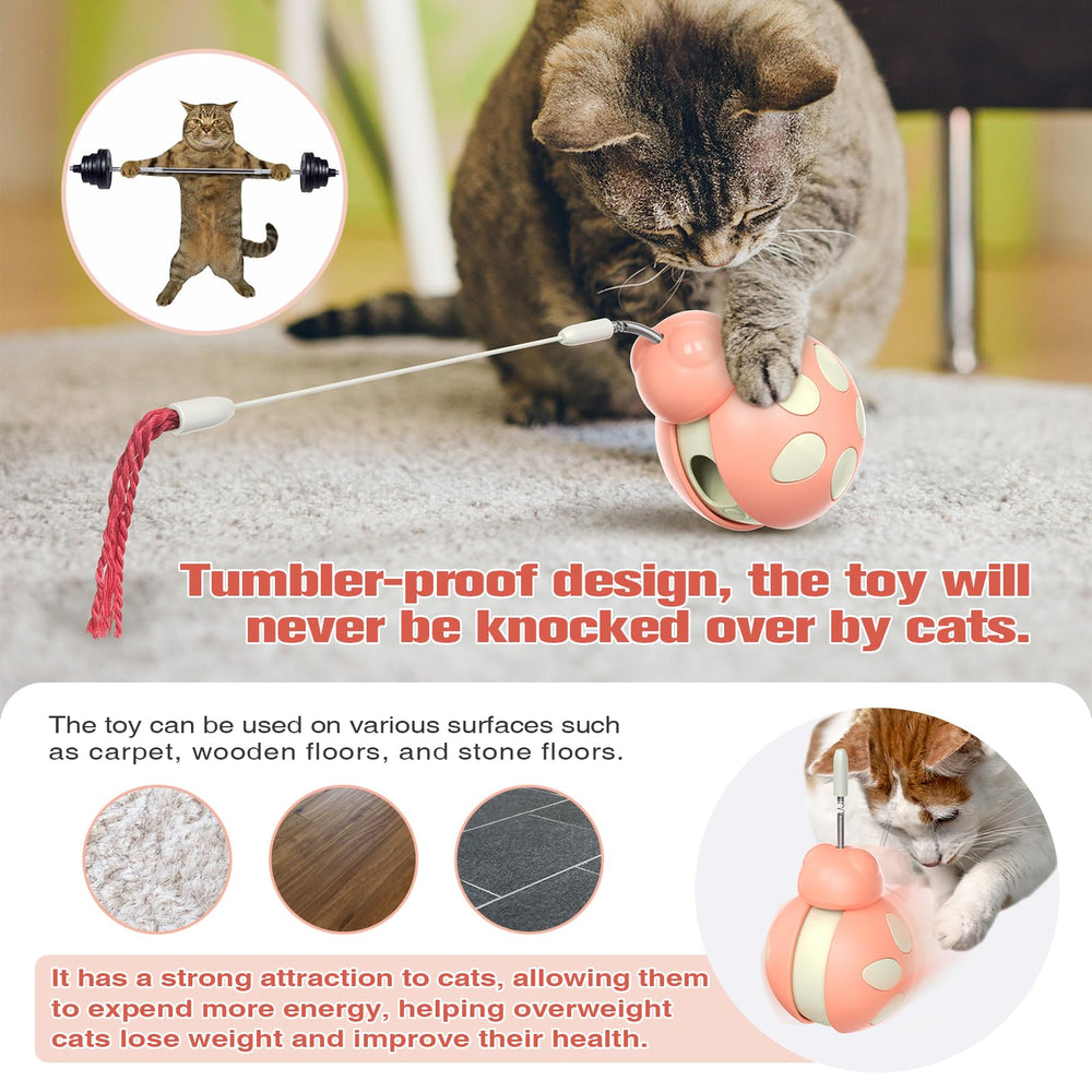 The Monotre cat-treat multi-cat play scene highlights shared indoor fun
