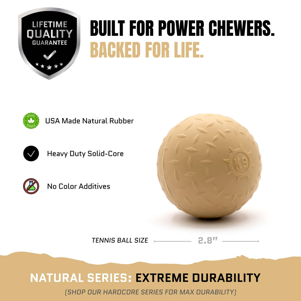 Monster K9 Adventure Series orange ball with dog during fetch in yard