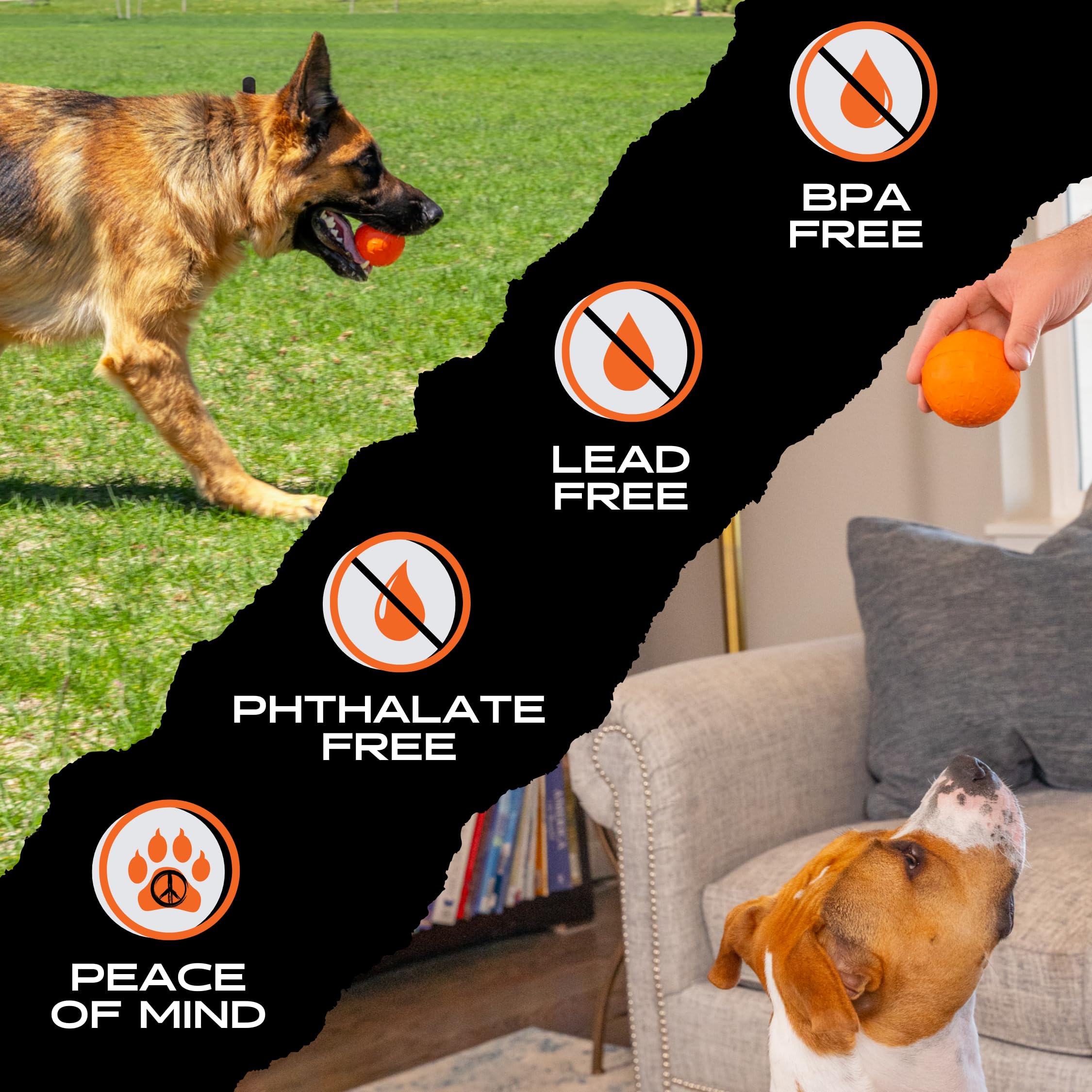 Monster K9 Beast Ball during fetch play supports active exercise and mental stimulation.