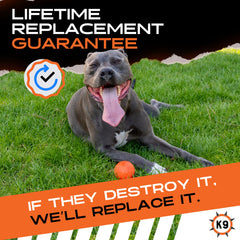 Monster K9 Beast Ball in outdoor play demonstrates bright visibility for easy tracking.