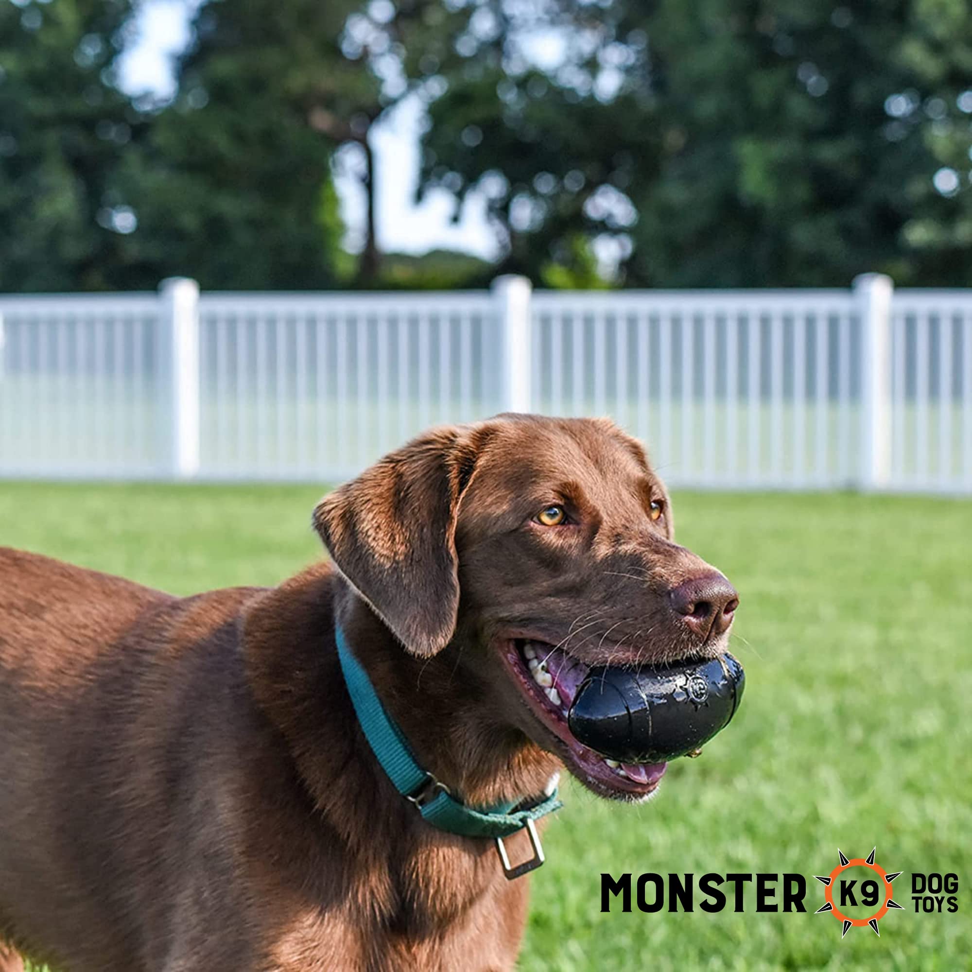 Monster K9 Football in-action during play boosts exercise and bonding.