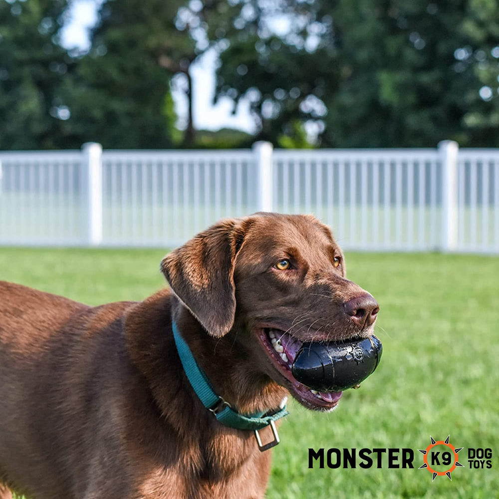 Monster K9 Football in-action during play boosts exercise and bonding.