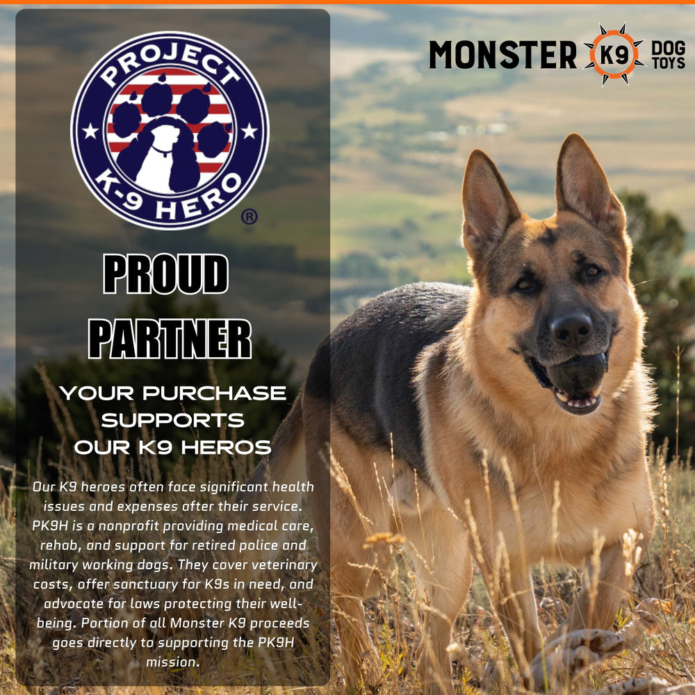 Monster K9 Indestructible Dog Ball in action during fetch sessions