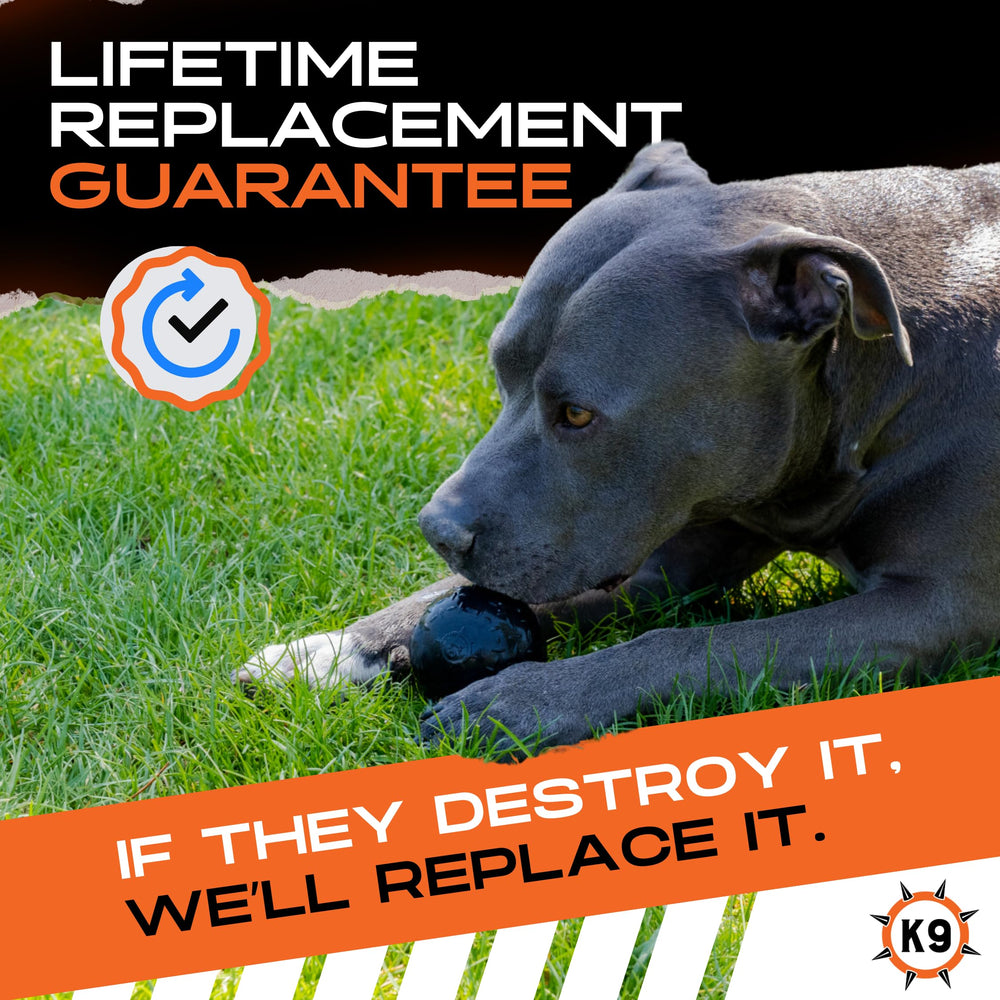 Monster K9 Indestructible Dog Ball with CPSIA testing signals toxin-free material