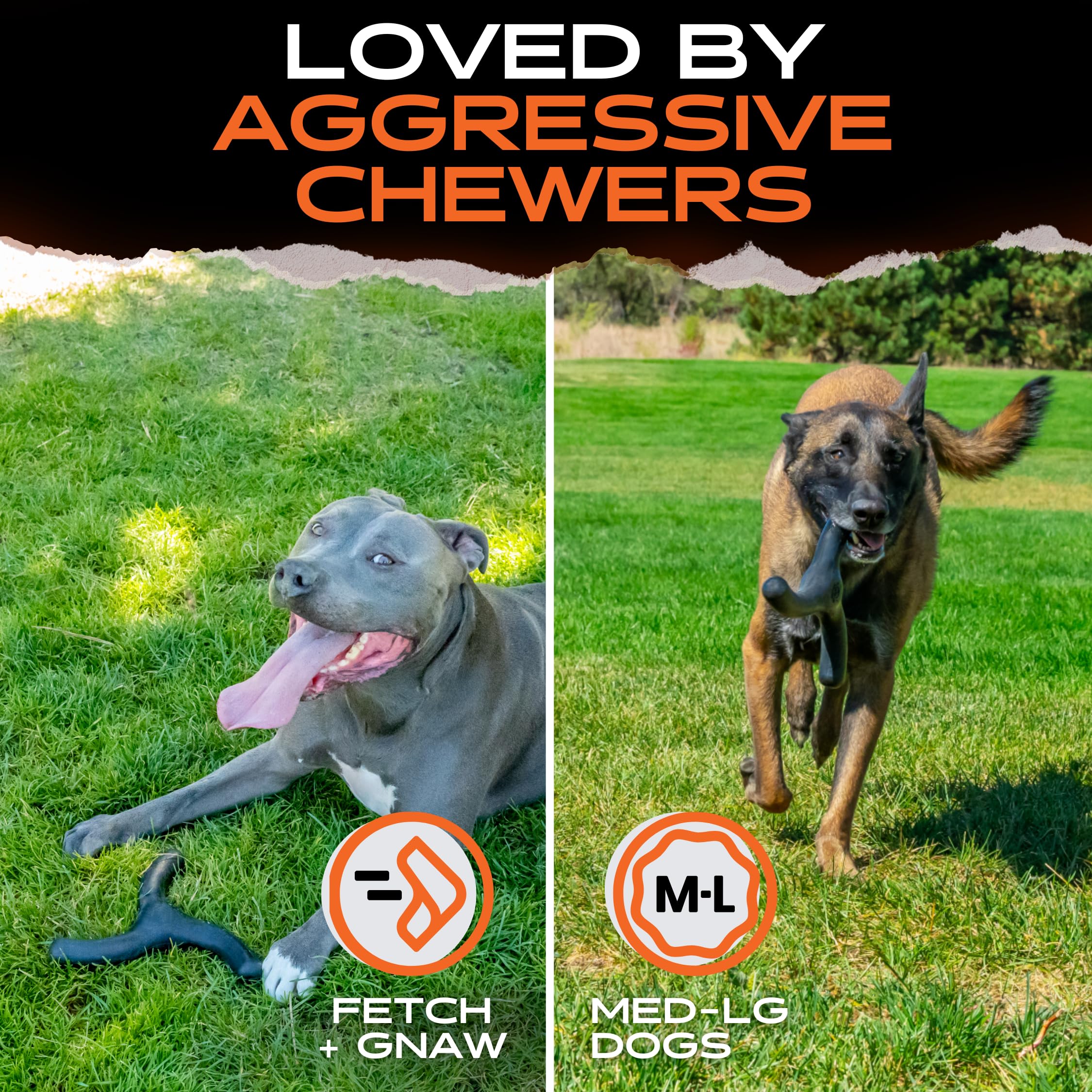Monster K9 Indestructible Toy fetch session demonstrates fetch-ready design.