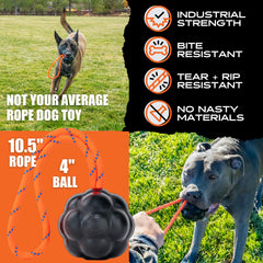 Monster K9 XL Dog Ball is dishwasher-safe for easy cleaning