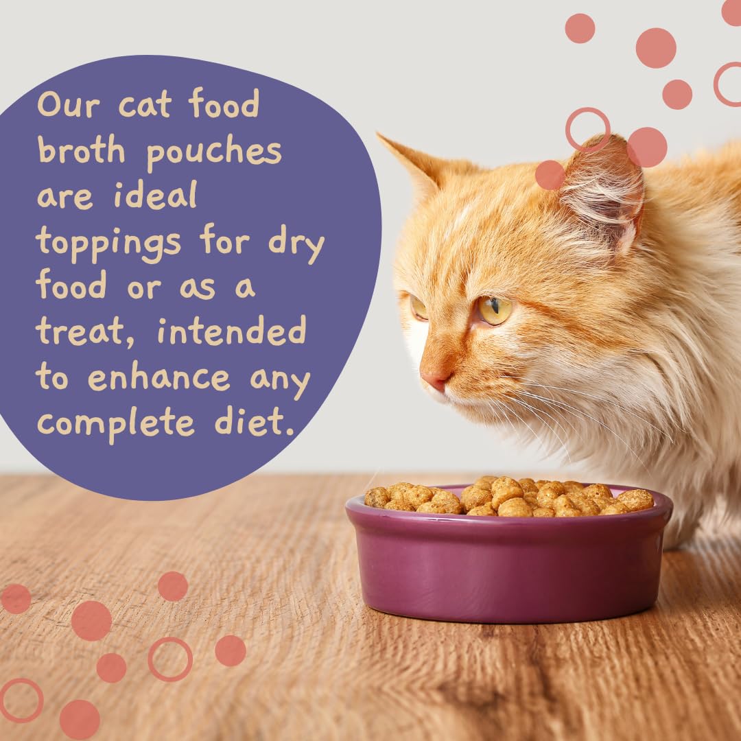 MOOCHIE serving bowl shot with broth over kibble for tasty topping.