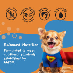MOOCHIE no artificial flavors or preservatives in wholesome wet dog food.