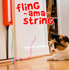 Moody Pet Fling-ama-String battery-compartment view shows quick power access.