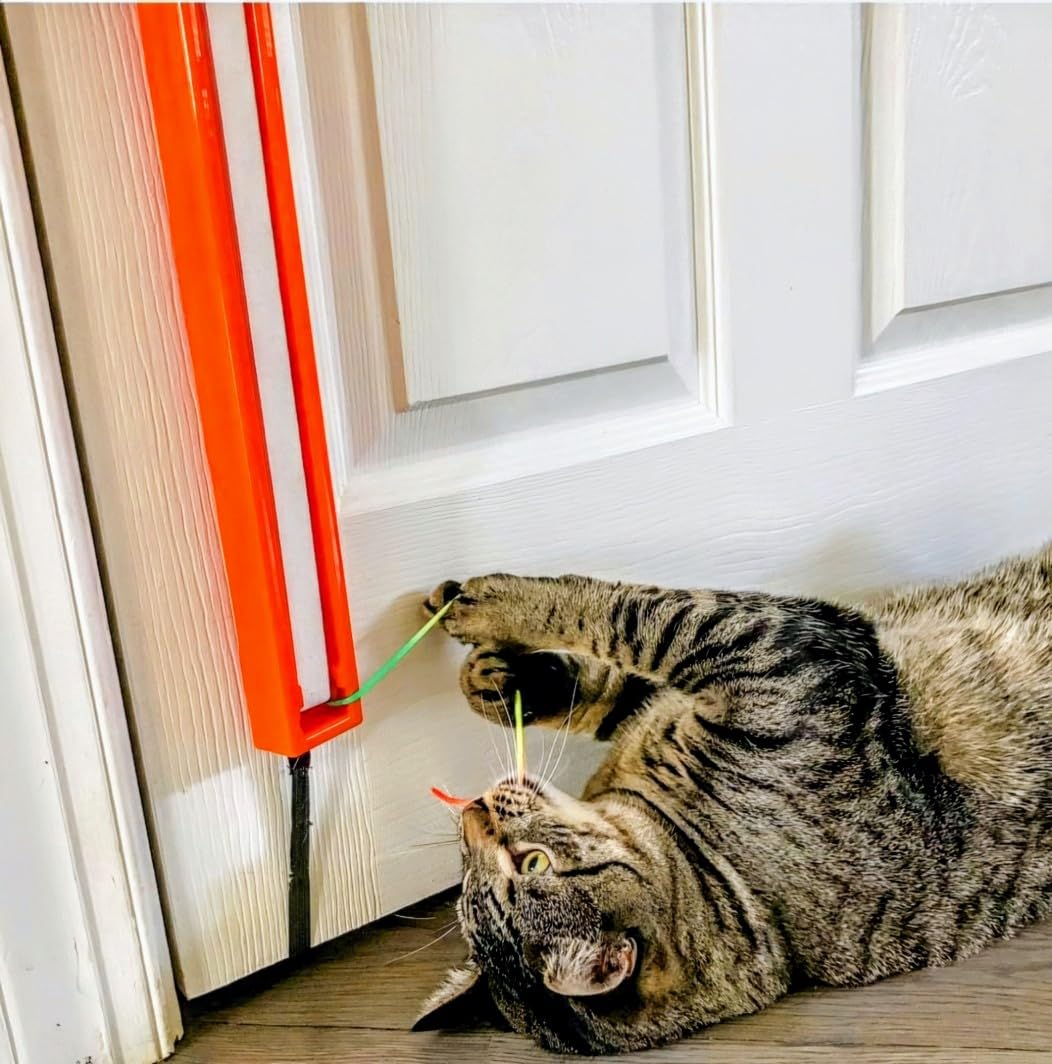 Moody Pet Fling-ama-String replacement parts support for lifetime enjoyment.