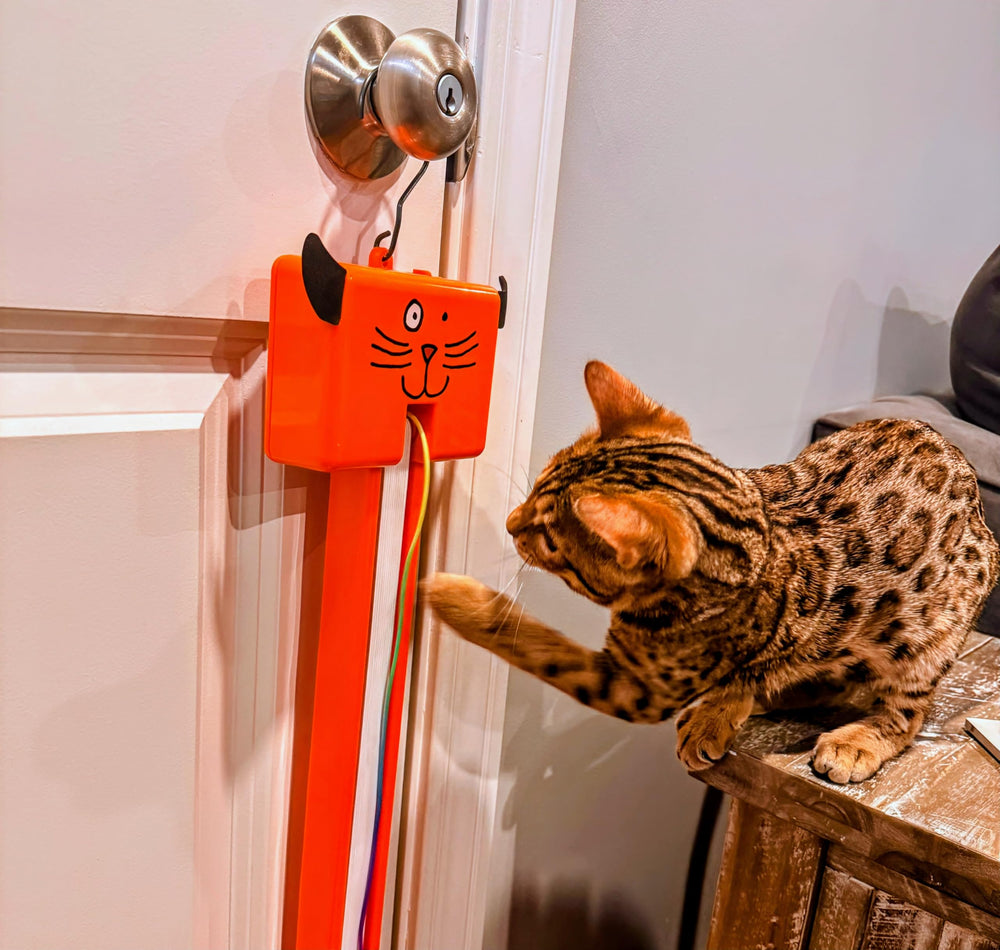 Moody Pet Fling-ama-String rotation action highlights continuous string exposure.