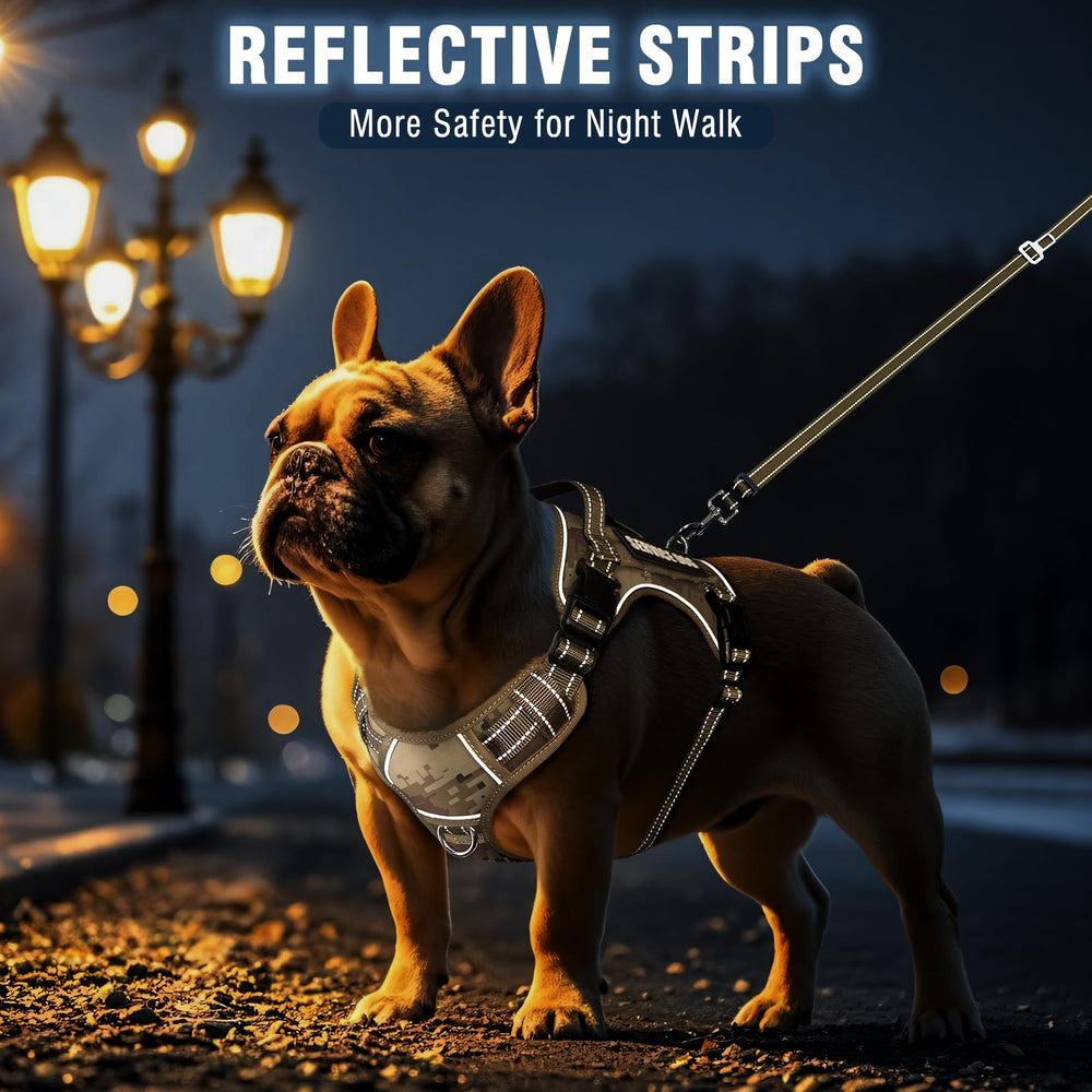 MOOGROU car-seatbelt option on leash for secure travel