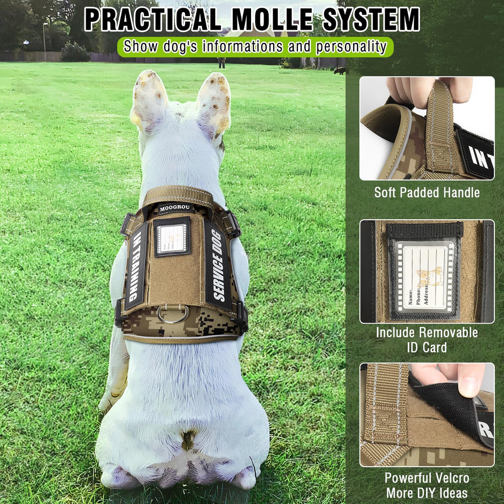 MOOGROU patches set with mood signals for training communication