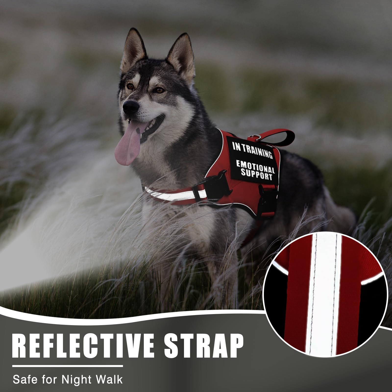 MOOGROU durable nylon material resists chew and wear for everyday use.