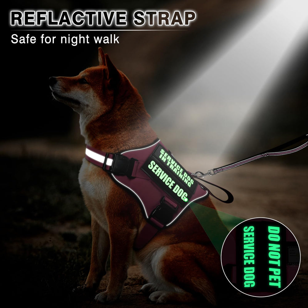MOOGROU easy-on, easy-off harness with chest and neck buckles.