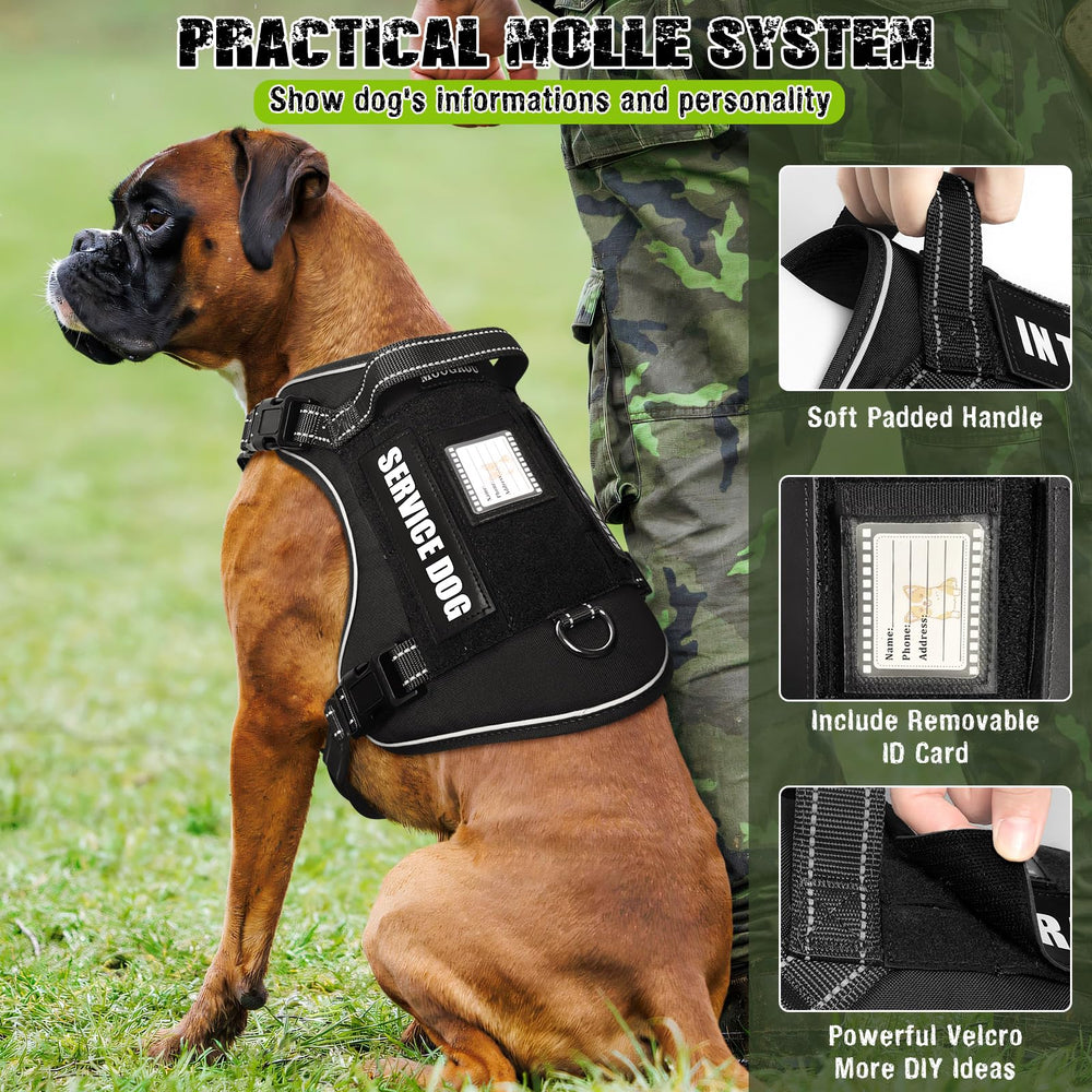 MOOGROU 2 in 1 leash with rotating clip for easy control and car travel