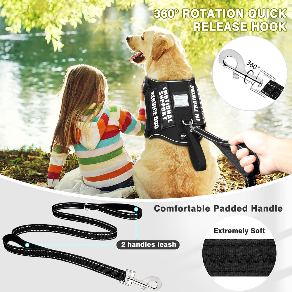 MOOGROU 5-foot leash with soft padded handles for comfortable control.
