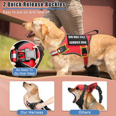 MOOGROU patches displayed on vest showing SERVICE DOG and IN TRAINING status.
