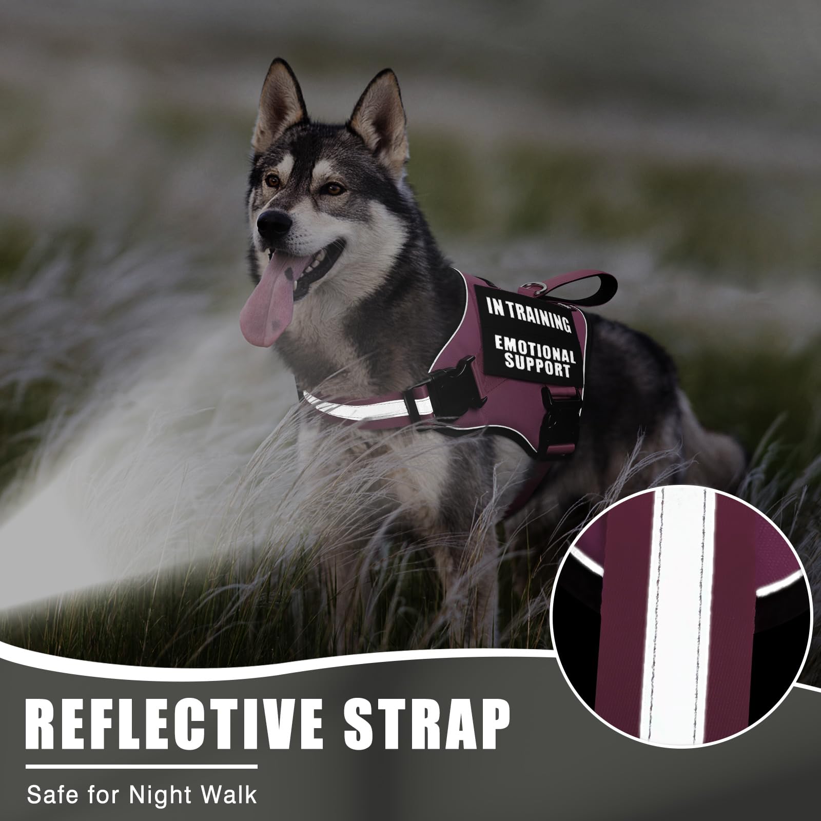 MOOGROU padded handle provides secure control during walks