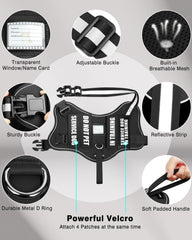 MOOGROU harness with reflective straps pictured for safer nighttime walks