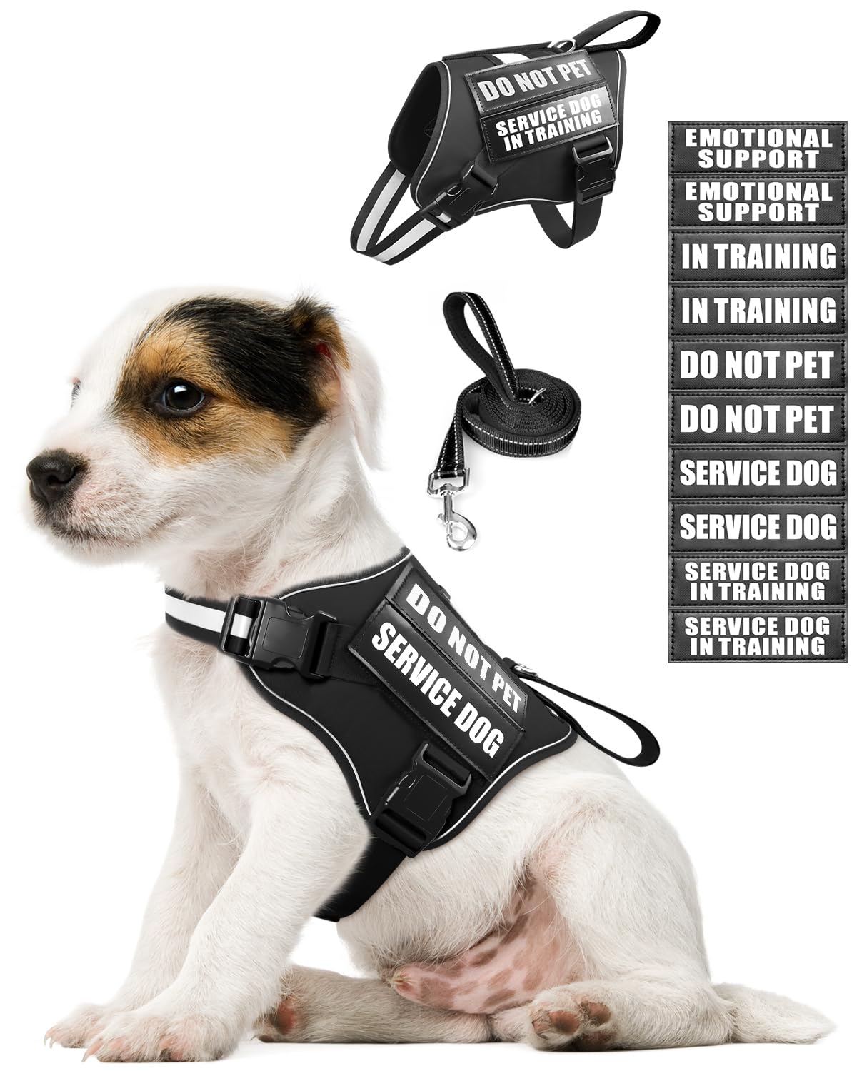 MOOGROU service dog harness set displayed on a small dog for quick on-off fitting