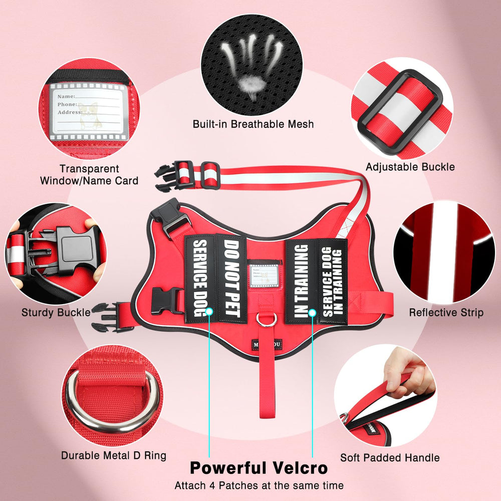 MOOGROU 5ft leash with two padded handles provides secure guidance