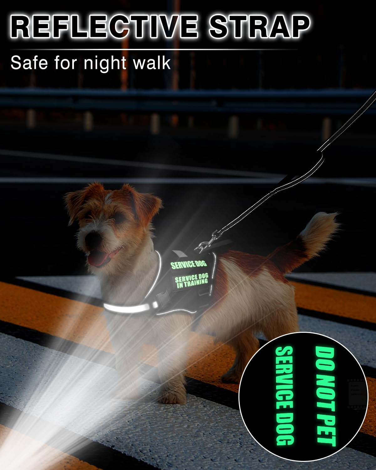 MOOGROU name card with dog information ready for quick identification