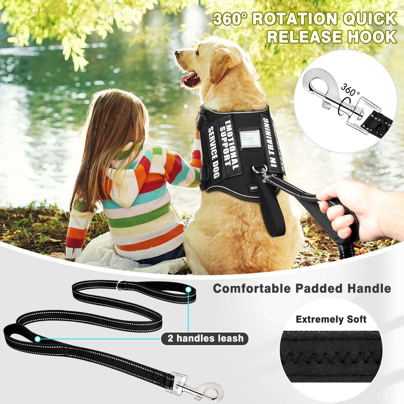 MOOGROU patches glow-in-the-dark display training cues and mood messages