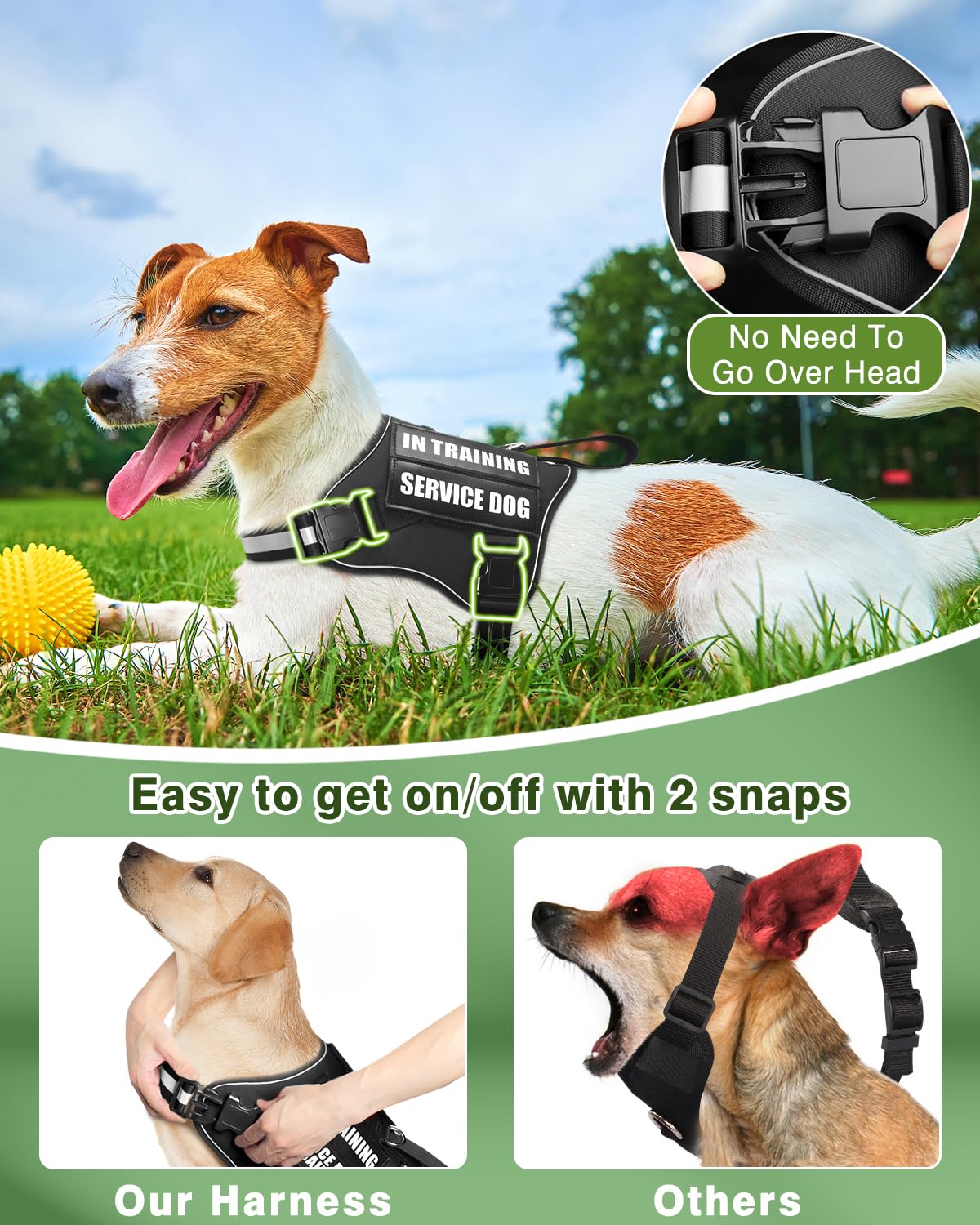MOOGROU glow in the dark patches on the harness highlight visibility during evening training