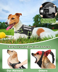 MOOGROU glow in the dark patches on the harness highlight visibility during evening training