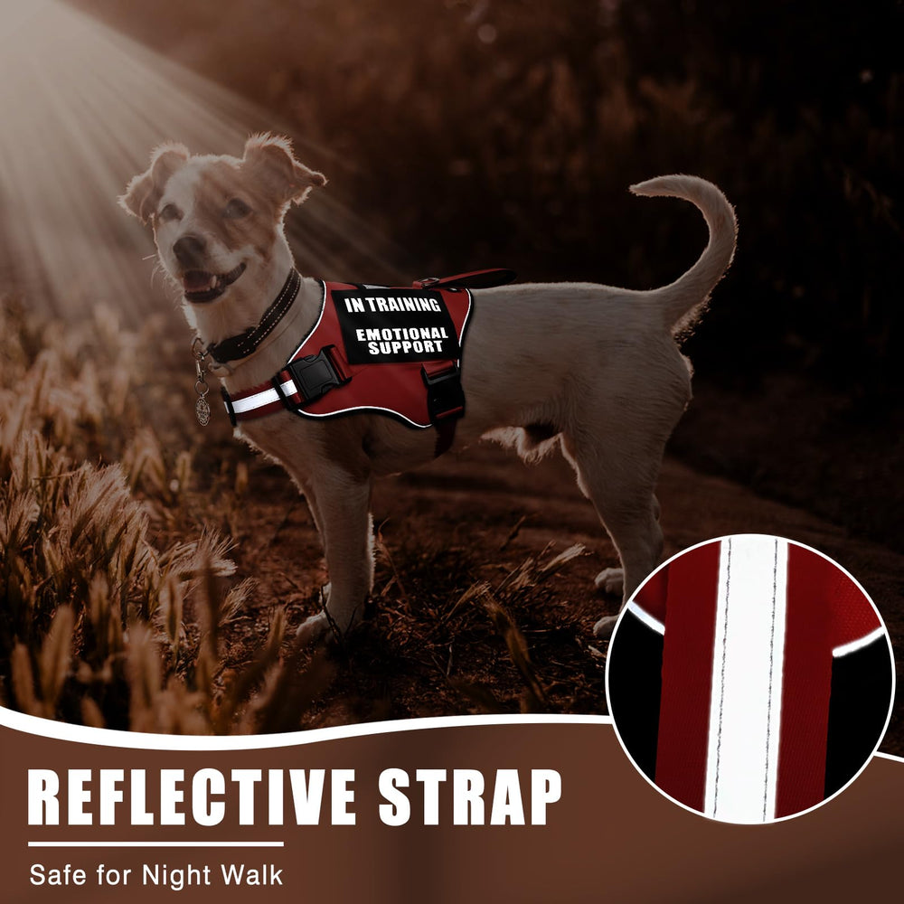 MOOGROU size guide ensures correct fit for small to extra-large dogs.