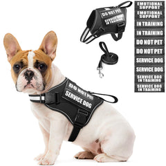 MOOGROU service dog vest front view shows secure harness for daily training
