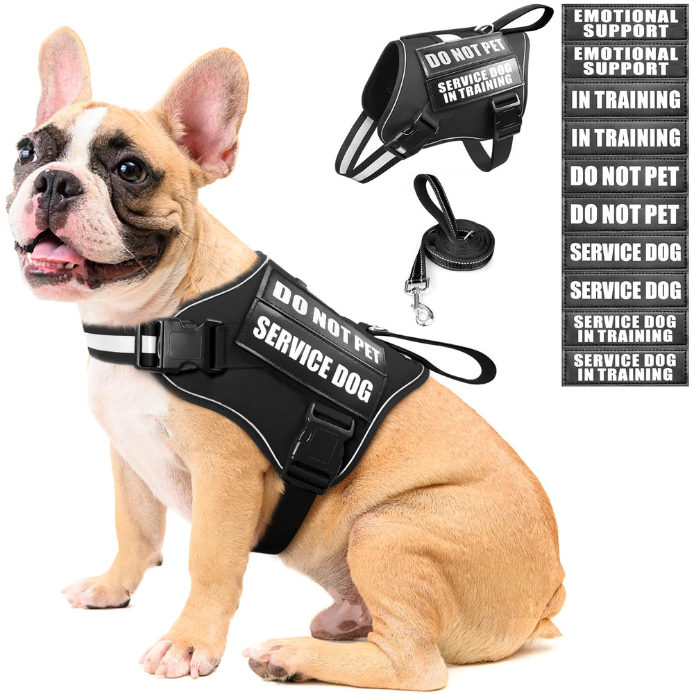 MOOGROU service dog vest harness shows secure fit for daily training.
