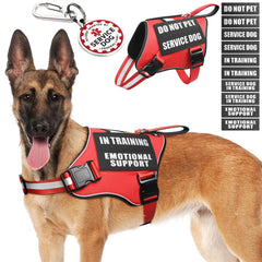 MOOGROU service dog vest harness with quick-release buckles for easy on/off.