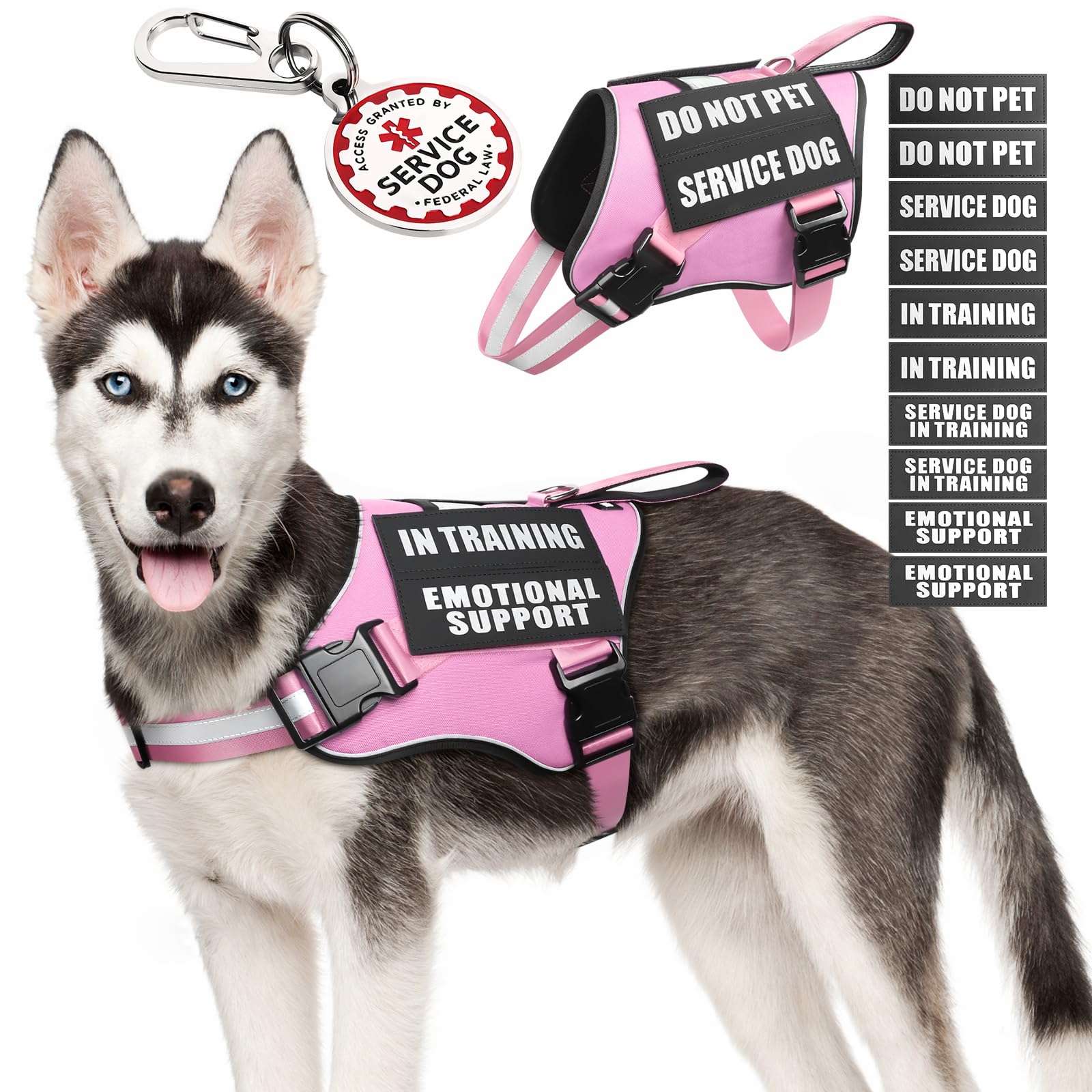 MOOGROU service dog vest and harness demonstrates easy-on design for medium dogs